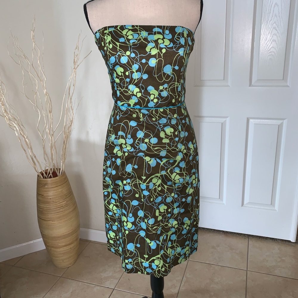 Beautiful Milly dress